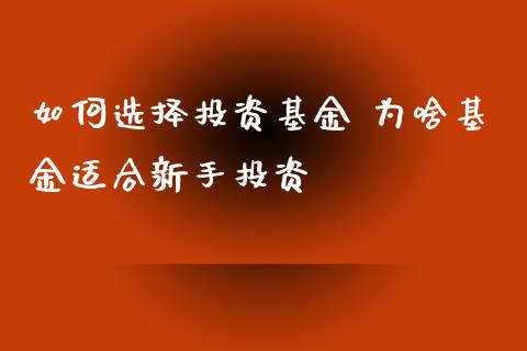 如何选择投资基金 为啥基金适合新手投资