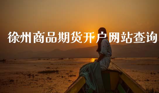 徐州商品期货开户网站查询