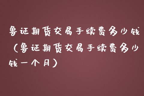 鲁证期货交易手续费多少钱（鲁证期货交易手续费多少钱一个月）
