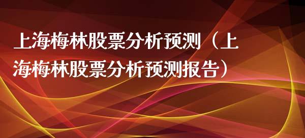 上海梅林股票分析预测（上海梅林股票分析预测报告）
