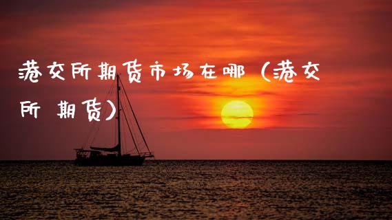 港交所期货市场在哪（港交所 期货）