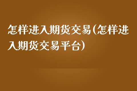 怎样进入期货交易(怎样进入期货交易平台)