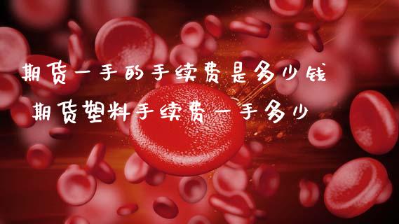 期货一手的手续费是多少钱 期货塑料手续费一手多少