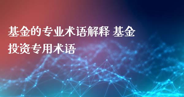 基金的专业术语解释 基资专用术语