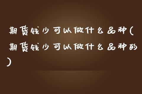 期货钱少可以做什么品种(期货钱少可以做什么品种的)