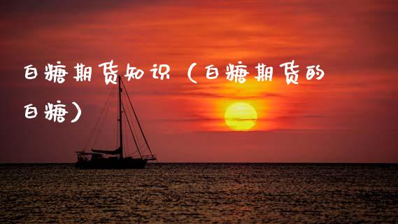 白糖期货知识（白糖期货的白糖）