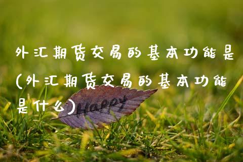 外汇期货交易的基本功能是(外汇期货交易的基本功能是什么)