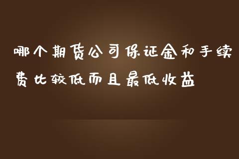 哪个期货公司保证金和手续费比较低而且最低收益