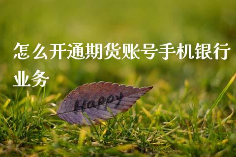 怎么开通期货账号手机银行业务