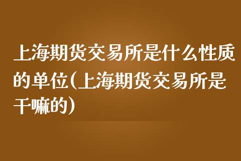 上海期货交易所是什么性质的单位(上海期货交易所是)