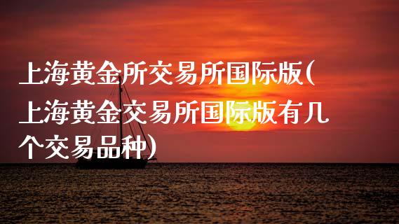 上海黄金所交易所国际版(上海黄金交易所国际版有几个交易品种)