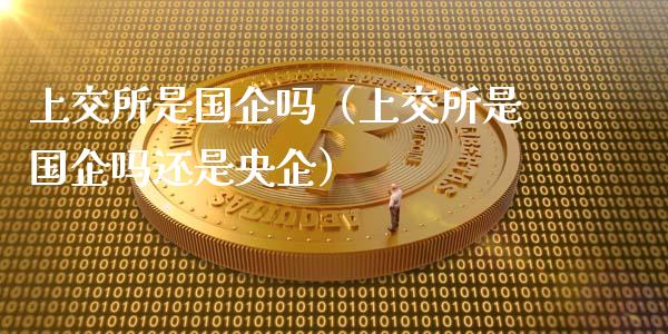 上交所是国企吗（上交所是国企吗还是央企）