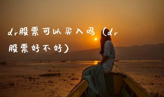 dr股票可以买入吗（dr股票好不好）