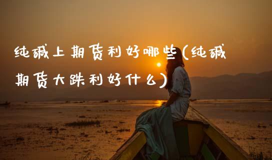 纯碱上期货利好哪些(纯碱期货大跌利好什么)