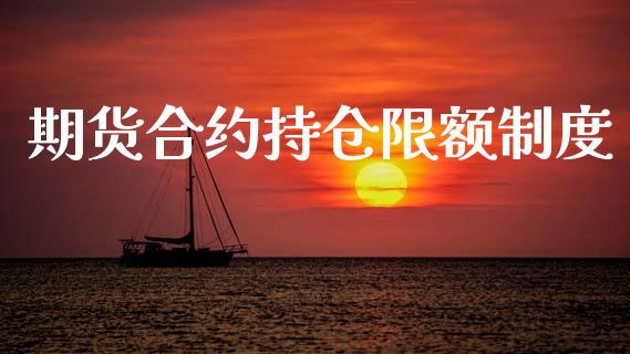 期货合约持仓限额制度