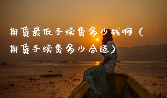 期货最低手续费多少钱啊（期货手续费多少合适）