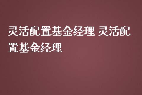 灵活配置基金经理 灵活配置基金经理