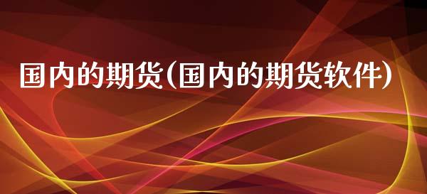 国内的期货(国内的期货软件)