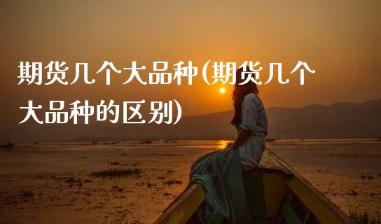 期货几个大品种(期货几个大品种的区别)