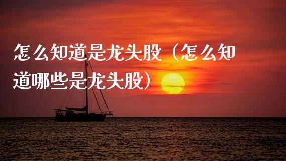 怎么知道是龙头股（怎么知道哪些是龙头股）