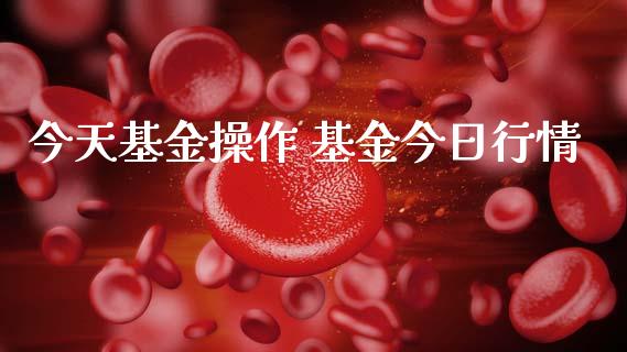 今天基金操作 基金今日行情