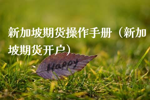 新加坡期货操作手册（新加坡期货开户）