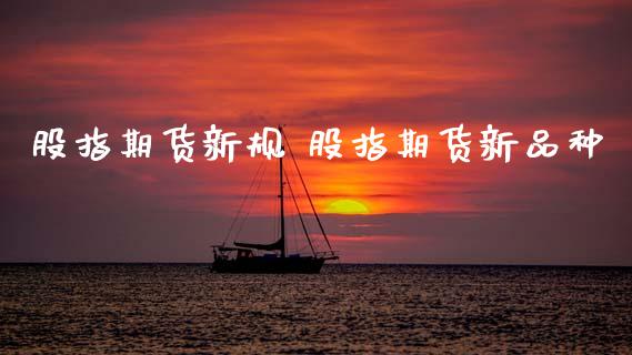 股指期货新规 股指期货新品种