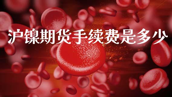 沪镍期货手续费是多少