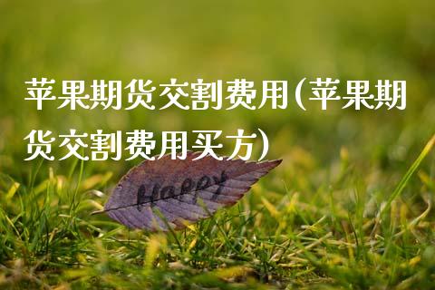 苹果期货交割费用(苹果期货交割费用买方)