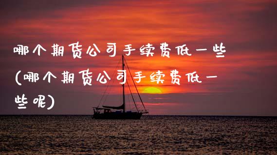 哪个期货公司手续费低一些(哪个期货公司手续费低一些呢)