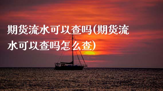 期货流水可以查吗(期货流水可以查吗怎么查)
