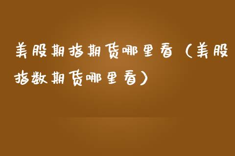 美股期指期货哪里看（美股指数期货哪里看）