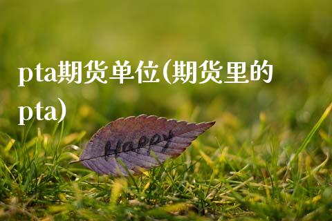 pta期货单位(期货里的pta)