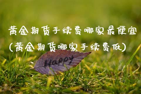 黄金期货手续费哪家最便宜(黄金期货哪家手续费低)