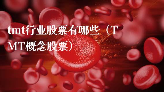 tmt行业股票有哪些（TMT概念股票）