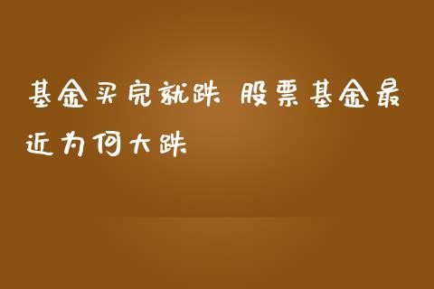 基金买完就跌 股票基金最近为何大跌