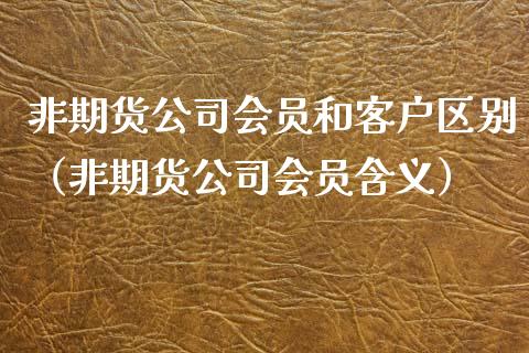 非期货公司会员和客户区别（非期货公司会员含义）_https://www.dglong8.com_黄金期货_第1张