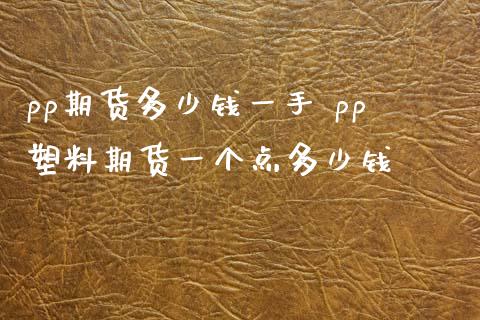 pp期货多少钱一手 pp塑料期货一个点多少钱
