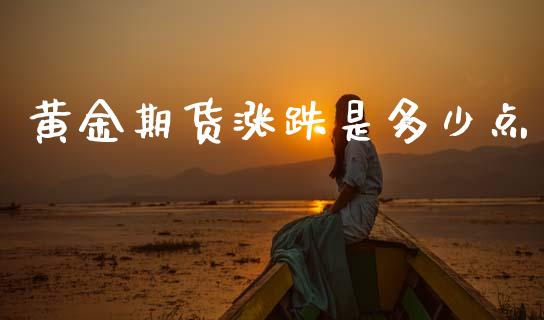 黄金期货涨跌是多少点
