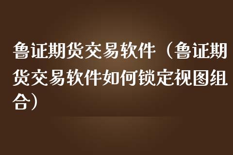 鲁证期货交易软件（鲁证期货交易软件如何锁定视图组合）