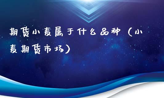 期货小麦属于什么品种（小麦期货市场）