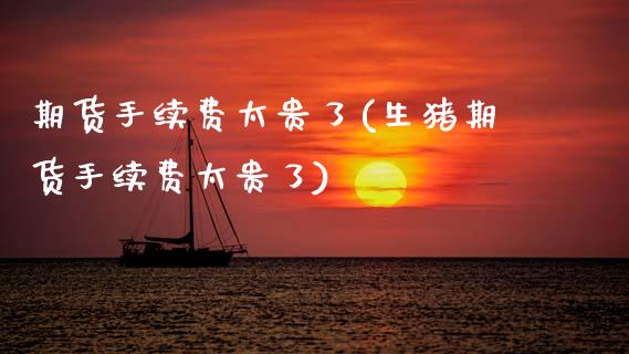 期货手续费太贵了(生猪期货手续费太贵了)