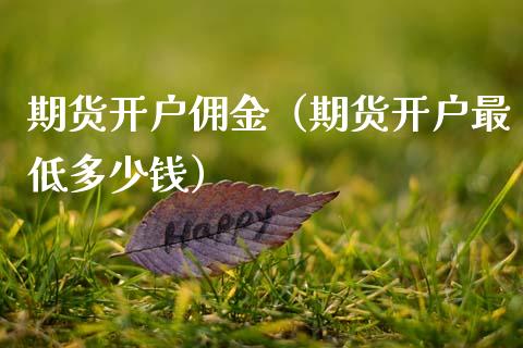 期货开户佣金（期货开户最低多少钱）