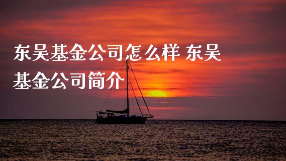 东吴基金公司怎么样 东吴基金公司简介_基金理财_第1张_宇龙理财网 东吴基金公司怎么样 东吴基金公司简介_https://www.dglong8.com_基金理财_第1张