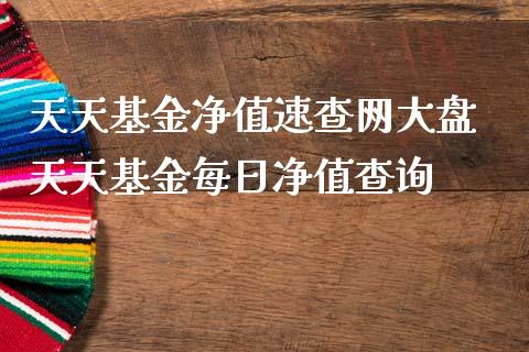 天天基金净值速查网大盘 天天基金每日净值查询