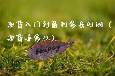 期货入门到盈利多长时间（期货赚多少）
