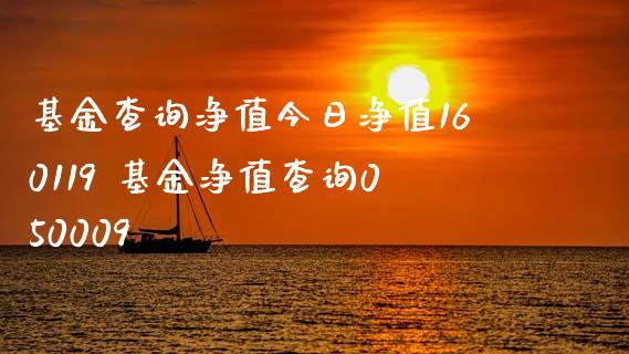 基金查询净值今日净值160119 基金净值查询050009