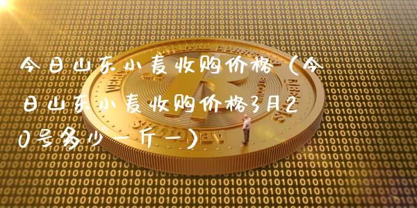 今日山东小麦收购价格（今日山东小麦收购价格3月20号多少一斤一）