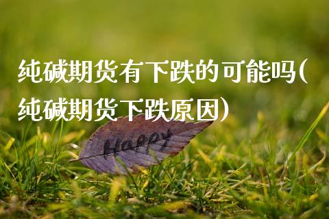 纯碱期货有下跌的可能吗(纯碱期货下跌原因)