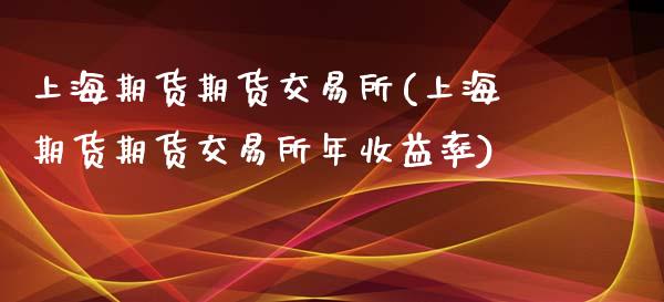 上海期货期货交易所(上海期货期货交易所年收益率)